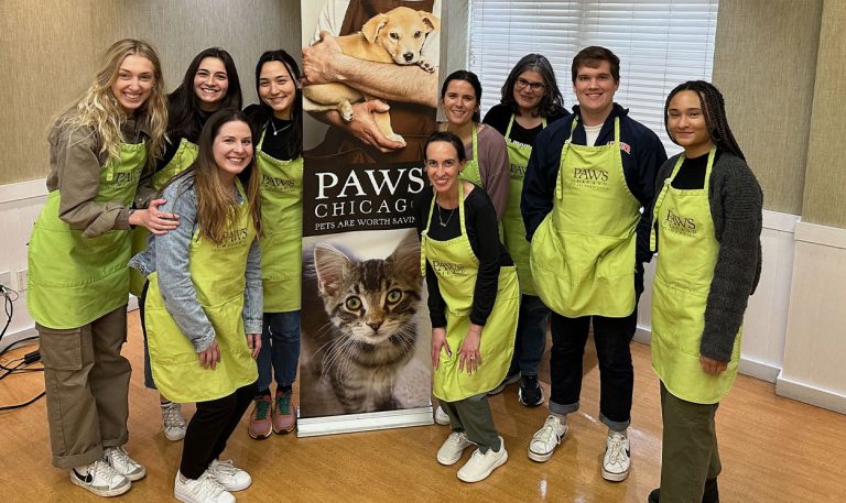 APX Chicago volunteering with PAWS Chicago, the city's largest No Kill humane organization